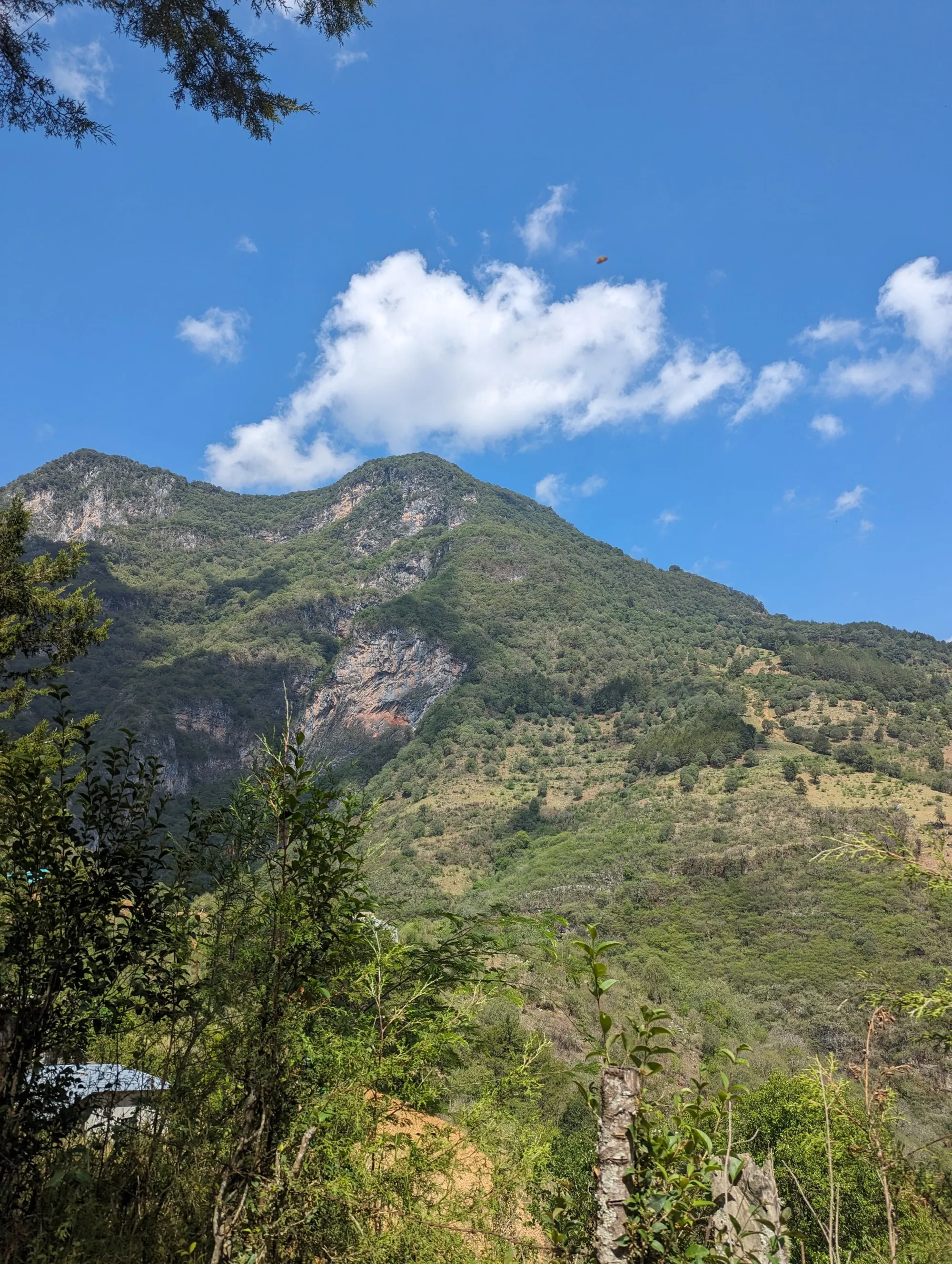 cerros de la Sierra Gorda de Querétaro.