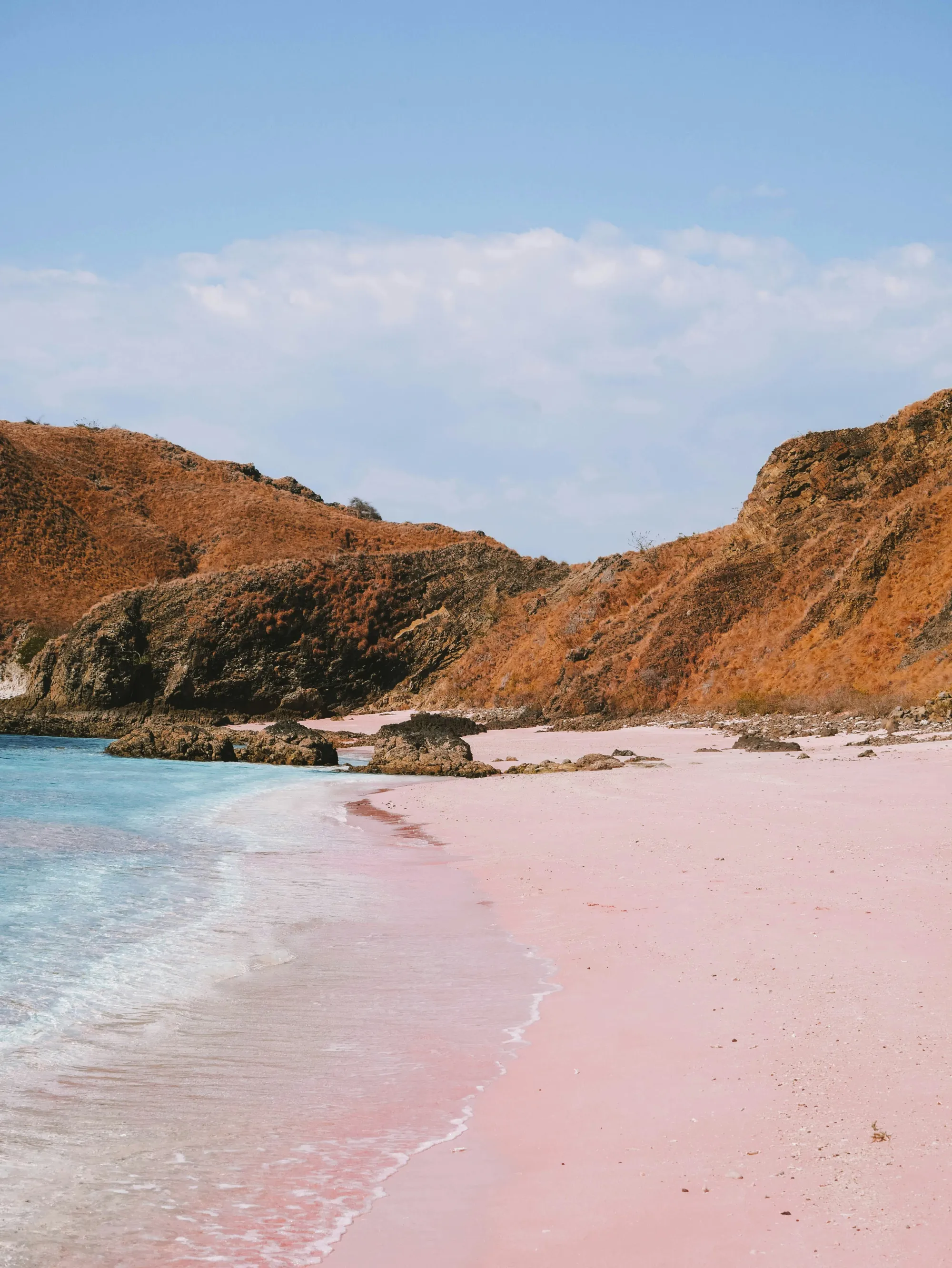 pink beach en la guía completa por Indonesia.