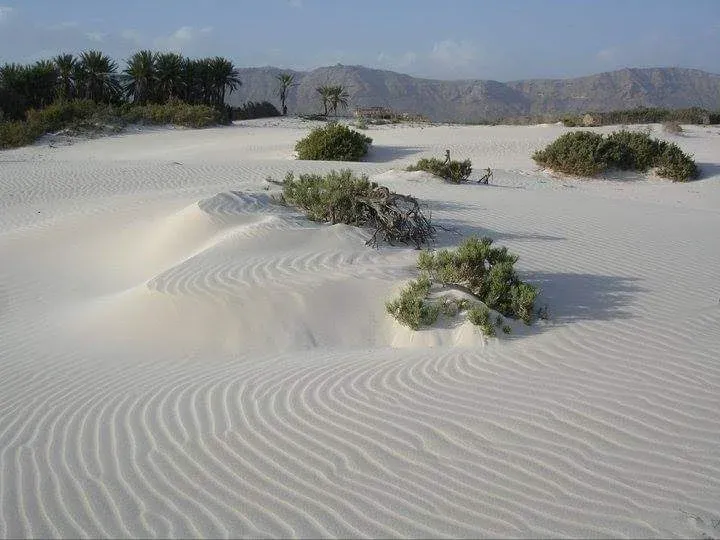 playa de arena blanca en Socotra Aomak