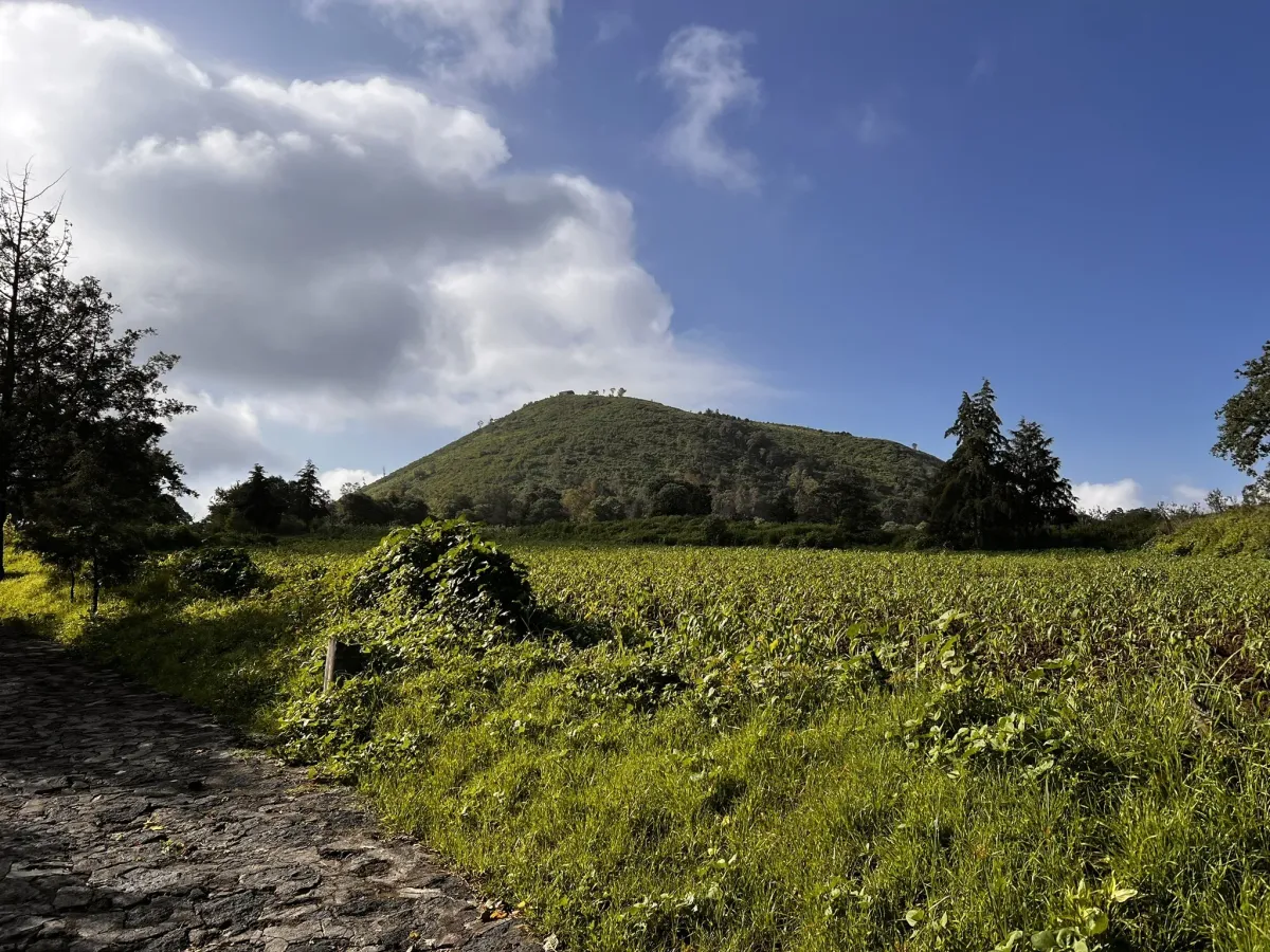 Ruta por Teuhtli: un volcán para senderear en CDMX